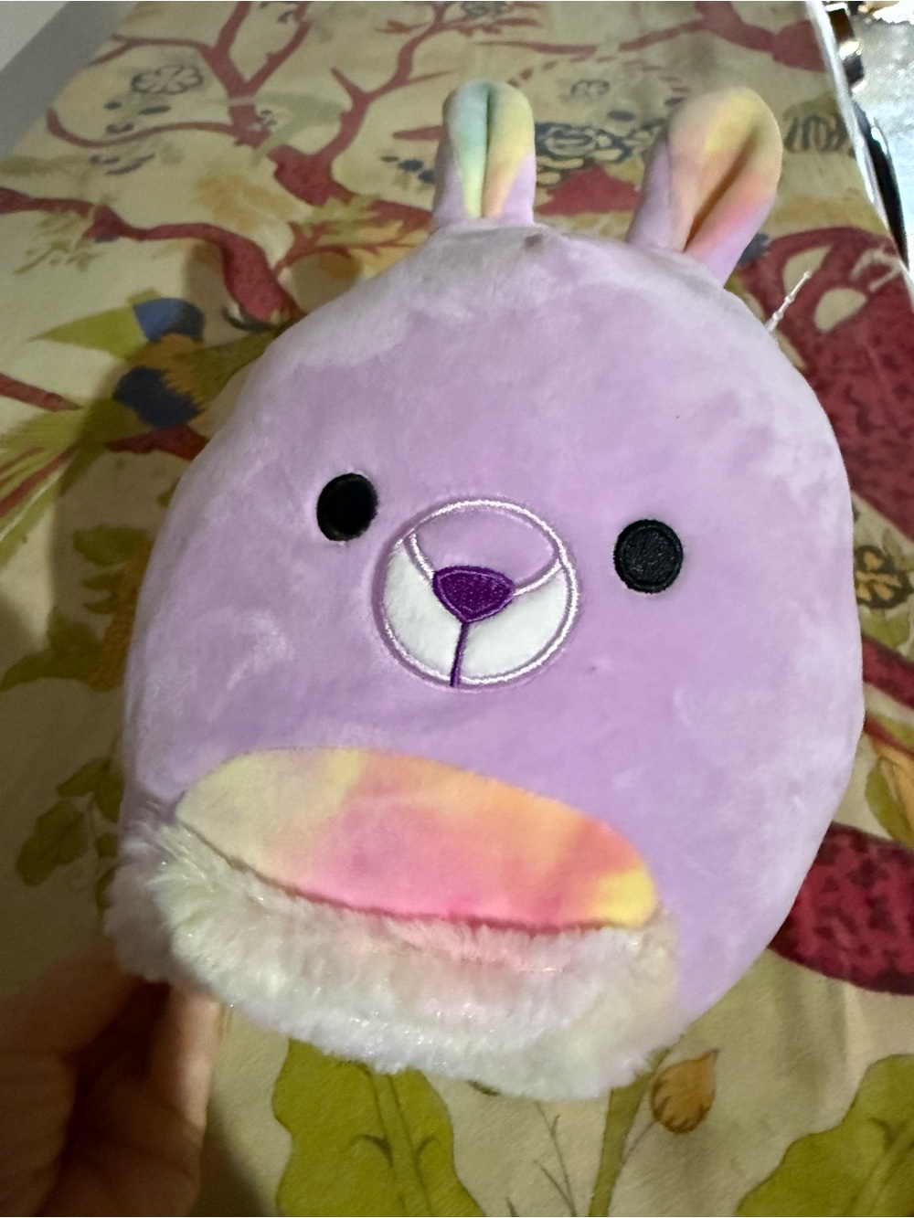 Squishmallows Kiki the Kangaroo 5" Stuffed Plush